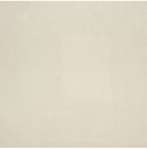 Aquavelvet Latte Upholstery Fabric - SR19201