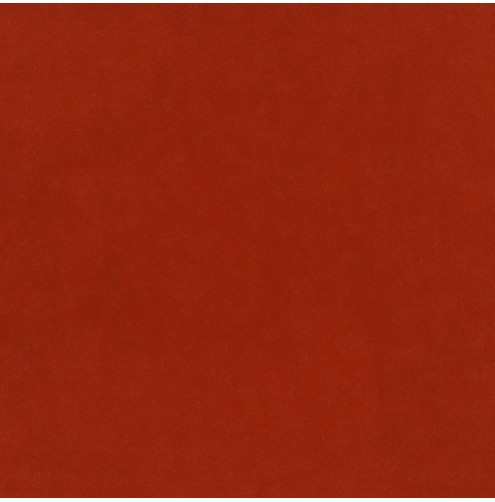 Plush Velvet Paprika