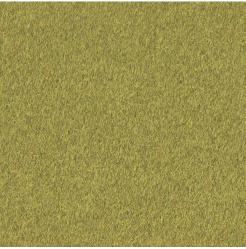 Cashmir Citrus - Contract