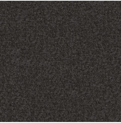 Dolly Ebony- Contract