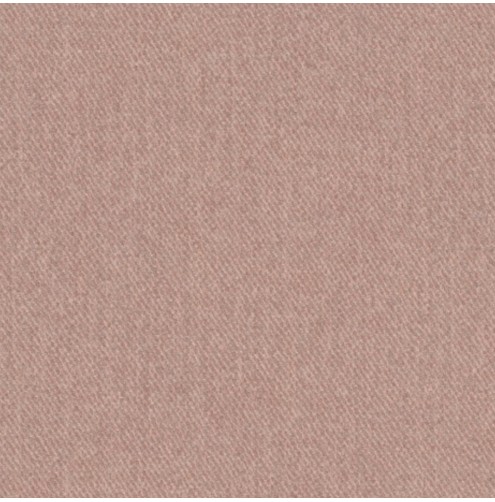 Dolly Petal- Contract