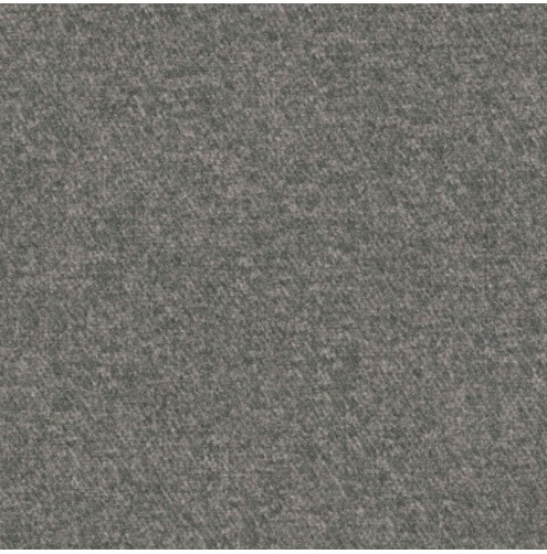 Dolly Wolf- Contract